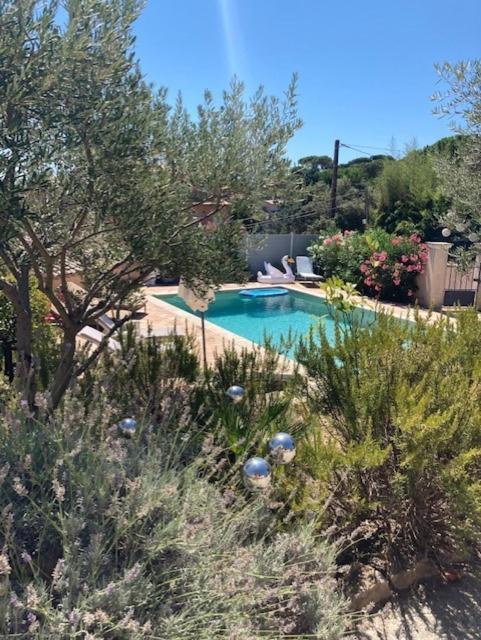 Bed and Breakfast Lone Star House Sainte-Maxime Esterno foto