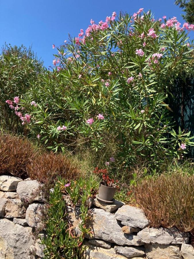 Bed and Breakfast Lone Star House Sainte-Maxime Esterno foto