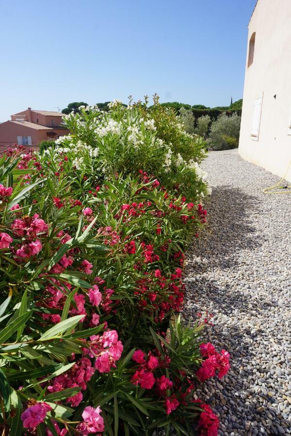 Bed and Breakfast Lone Star House Sainte-Maxime Esterno foto
